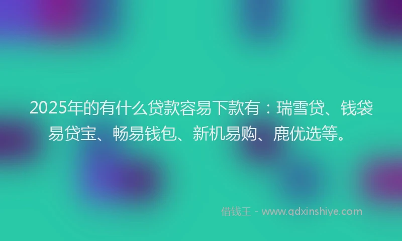 2025年的有什么贷款容易下款有：瑞雪贷、钱袋易贷宝、畅易钱包、新机易购、鹿优选等。