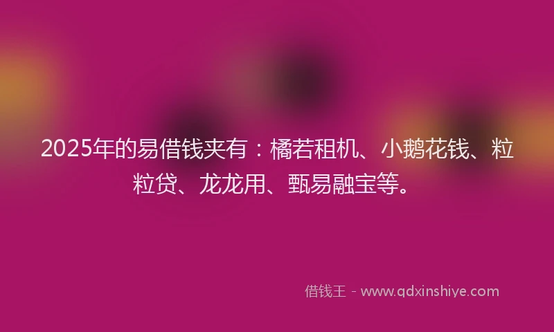 2025年的易借钱夹有：橘若租机、小鹅花钱、粒粒贷、龙龙用、甄易融宝等。