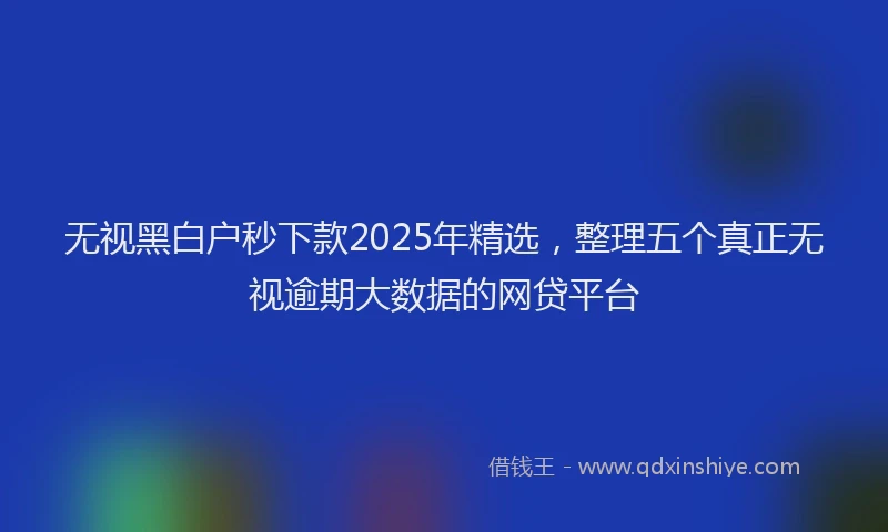 无视黑白户秒下款2025年精选，整理五个真正无视逾期大数据的网贷平台