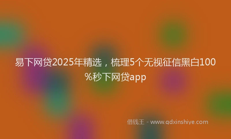 易下网贷2025年精选，梳理5个无视征信黑白100%秒下网贷app