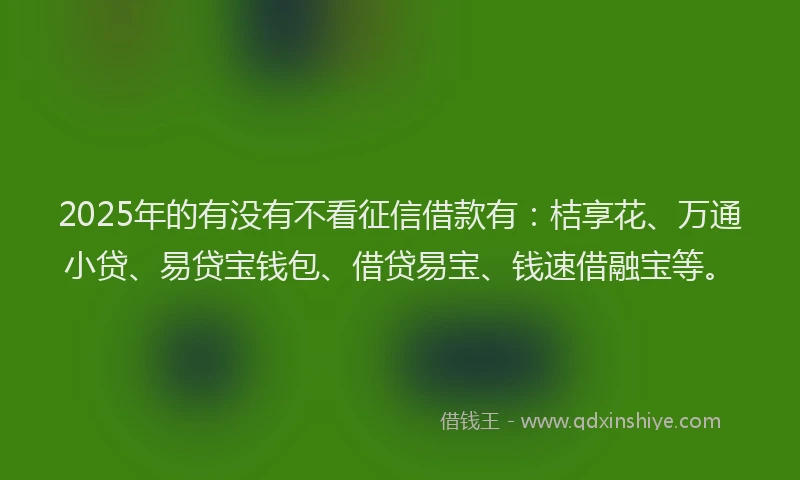 2025年的有没有不看征信借款有：桔享花、万通小贷、易贷宝钱包、借贷易宝、钱速借融宝等。