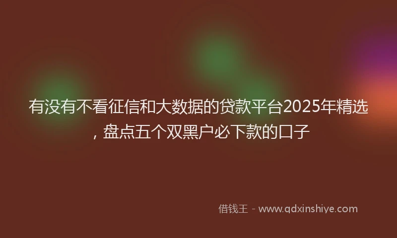 有没有不看征信和大数据的贷款平台2025年精选，盘点五个双黑户必下款的口子