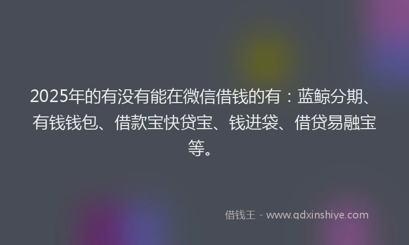 2025年的有没有能在微信借钱的有：蓝鲸分期、有钱钱包、借款宝快贷宝、钱进袋、借贷易融宝等。