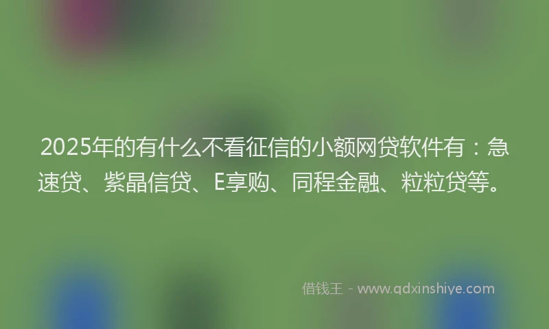 2025年的有什么不看征信的小额网贷软件有：急速贷、紫晶信贷、E享购、同程金融、粒粒贷等。