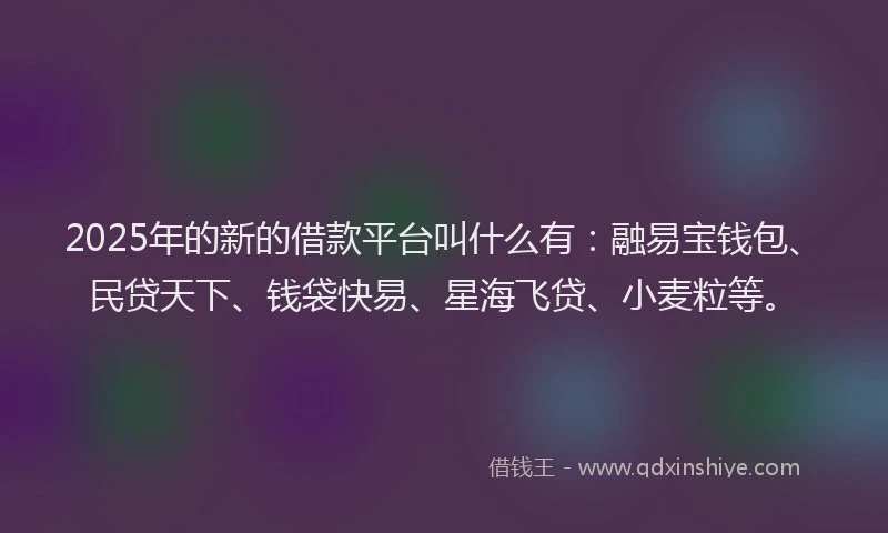 2025年的新的借款平台叫什么有：融易宝钱包、民贷天下、钱袋快易、星海飞贷、小麦粒等。