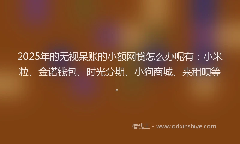 2025年的无视呆账的小额网贷怎么办呢有：小米粒、金诺钱包、时光分期、小狗商城、来租呗等。