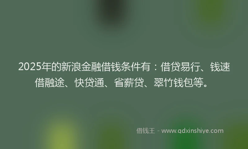 2025年的新浪金融借钱条件有：借贷易行、钱速借融途、快贷通、省薪贷、翠竹钱包等。