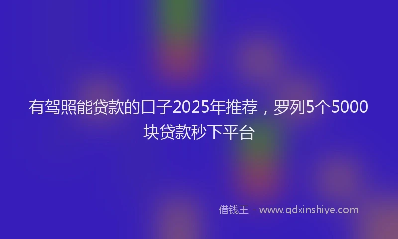 有驾照能贷款的口子2025年推荐，罗列5个5000块贷款秒下平台