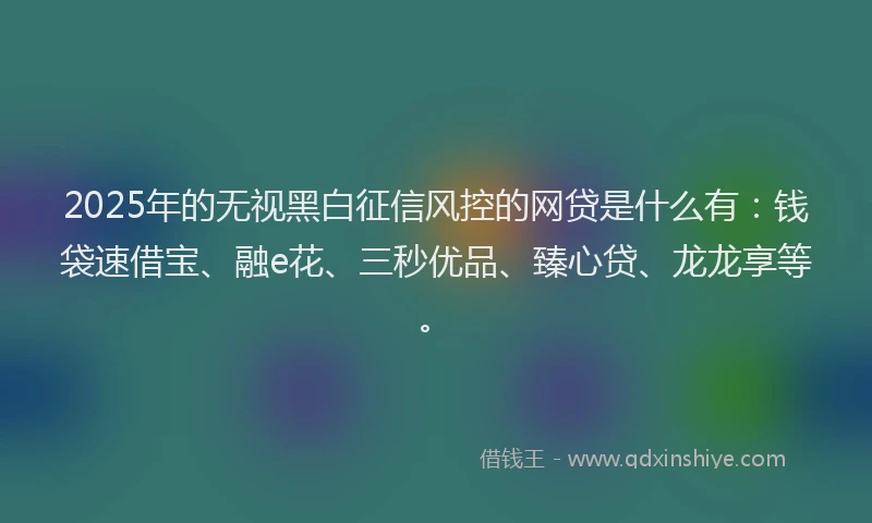2025年的无视黑白征信风控的网贷是什么有：钱袋速借宝、融e花、三秒优品、臻心贷、龙龙享等。