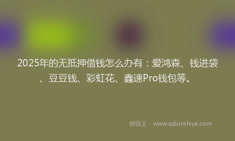 2025年的无抵押借钱怎么办有：爱鸿森、钱进袋、豆豆钱、彩虹花、鑫速Pro钱包等。