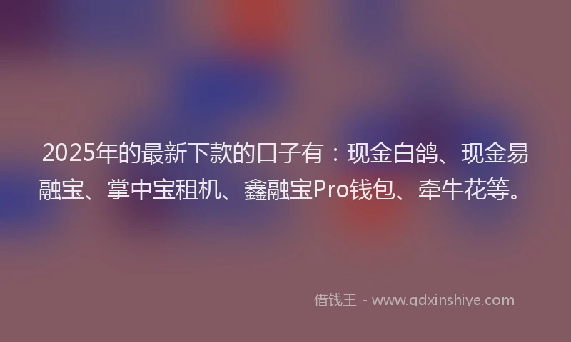 2025年的最新下款的口子有：现金白鸽、现金易融宝、掌中宝租机、鑫融宝Pro钱包、牵牛花等。