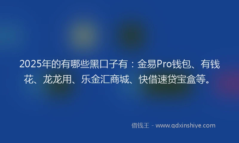 2025年的有哪些黑口子有：金易Pro钱包、有钱花、龙龙用、乐金汇商城、快借速贷宝盒等。