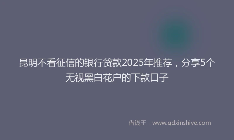 昆明不看征信的银行贷款2025年推荐，分享5个无视黑白花户的下款口子