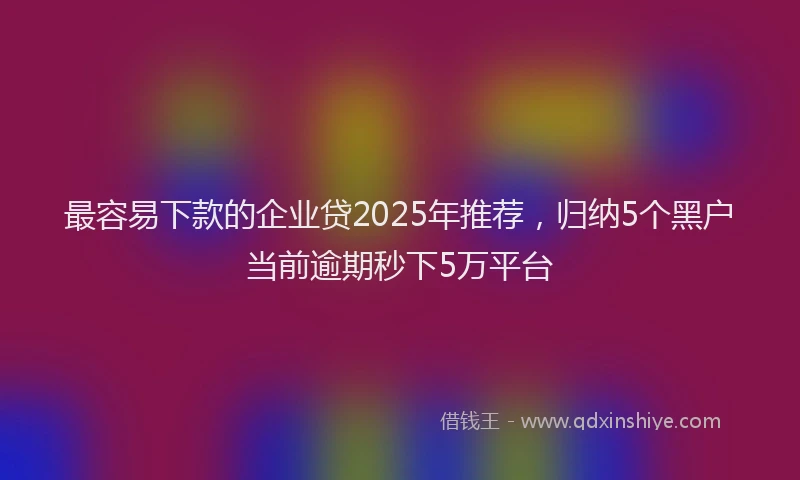 最容易下款的企业贷2025年推荐，归纳5个黑户当前逾期秒下5万平台