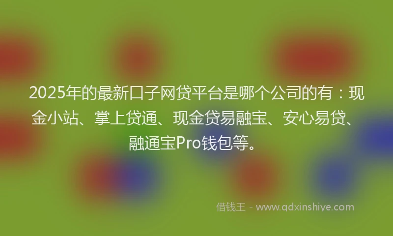 2025年的最新口子网贷平台是哪个公司的有：现金小站、掌上贷通、现金贷易融宝、安心易贷、融通宝Pro钱包等。