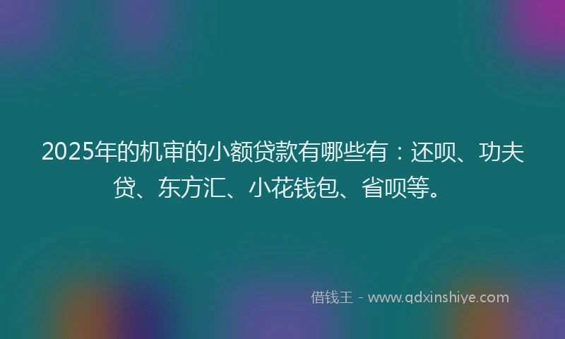 2025年的机审的小额贷款有哪些有：还呗、功夫贷、东方汇、小花钱包、省呗等。