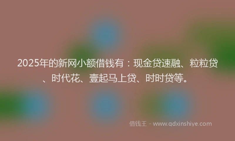 2025年的新网小额借钱有：现金贷速融、粒粒贷、时代花、壹起马上贷、时时贷等。