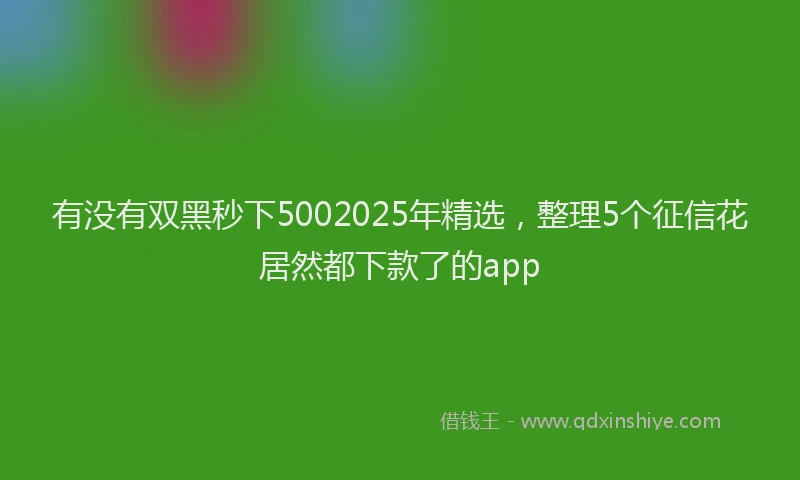 有没有双黑秒下5002025年精选，整理5个征信花居然都下款了的app