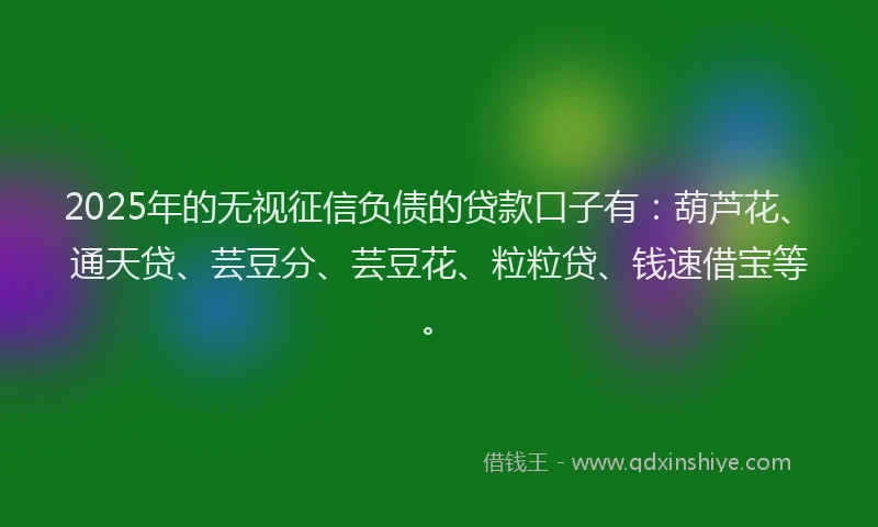 2025年的无视征信负债的贷款口子有：葫芦花、通天贷、芸豆分、芸豆花、粒粒贷、钱速借宝等。