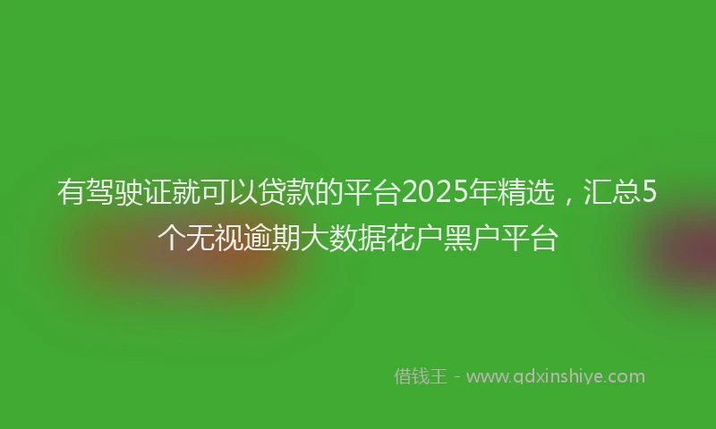 有驾驶证就可以贷款的平台2025年精选，汇总5个无视逾期大数据花户黑户平台