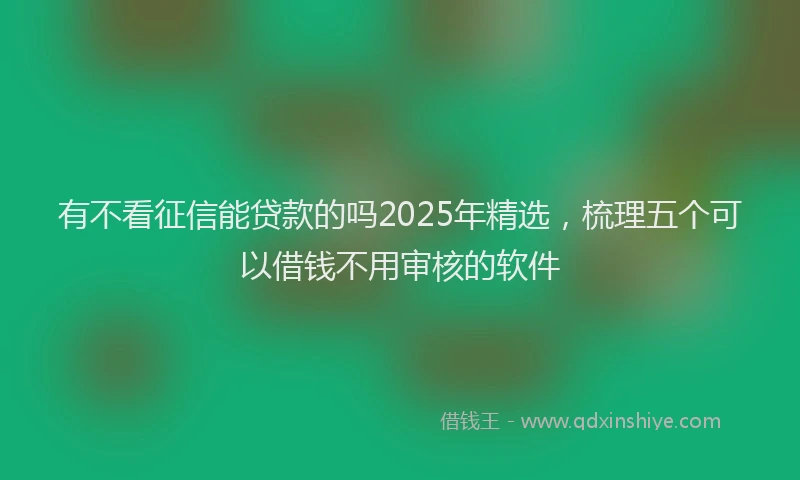 有不看征信能贷款的吗2025年精选，梳理五个可以借钱不用审核的软件