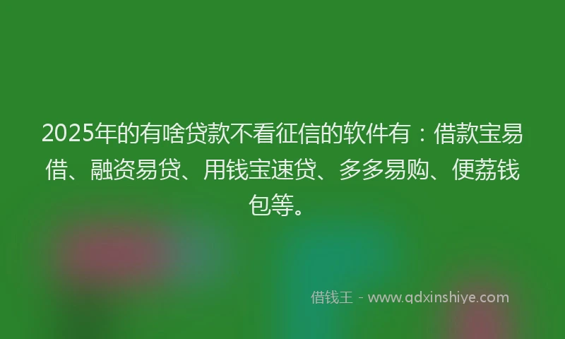 2025年的有啥贷款不看征信的软件有：借款宝易借、融资易贷、用钱宝速贷、多多易购、便荔钱包等。