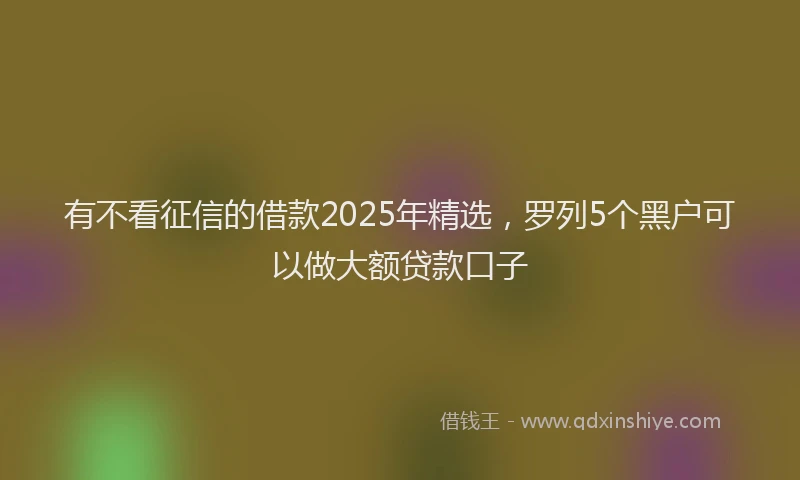 有不看征信的借款2025年精选，罗列5个黑户可以做大额贷款口子