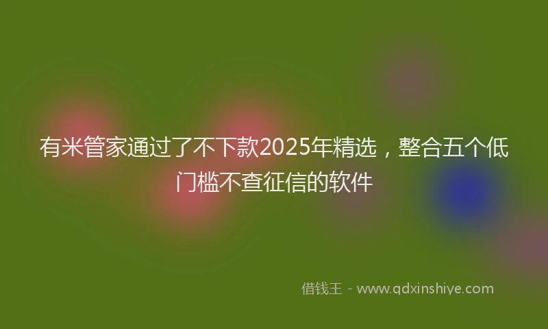 有米管家通过了不下款2025年精选，整合五个低门槛不查征信的软件