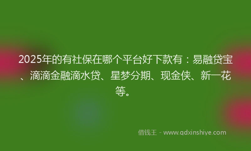 2025年的有社保在哪个平台好下款有：易融贷宝、滴滴金融滴水贷、星梦分期、现金侠、新一花等。