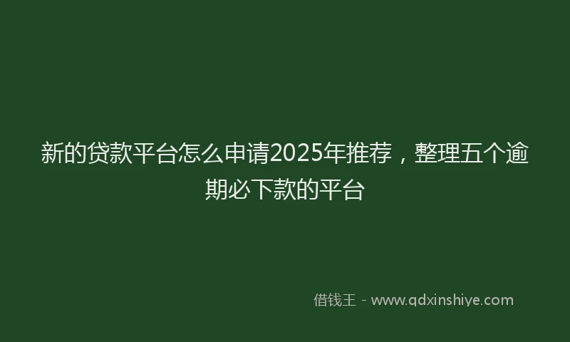 新的贷款平台怎么申请2025年推荐，整理五个逾期必下款的平台