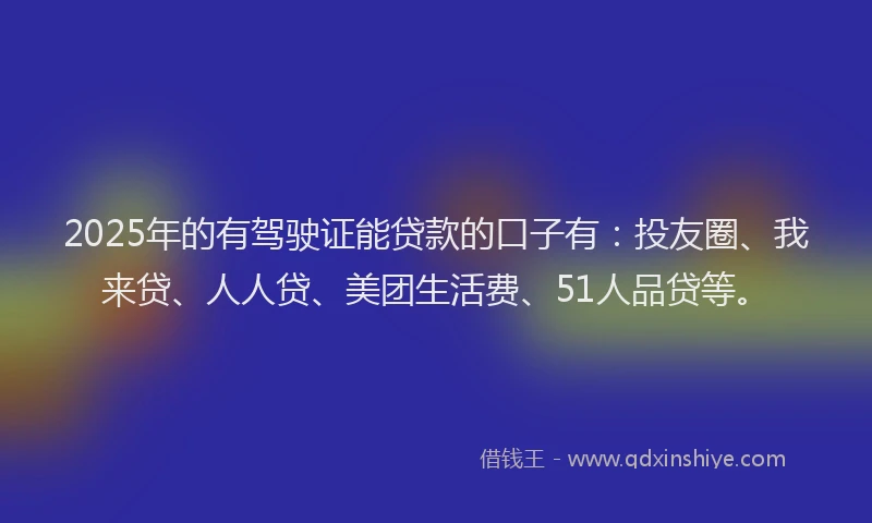 2025年的有驾驶证能贷款的口子有：投友圈、我来贷、人人贷、美团生活费、51人品贷等。