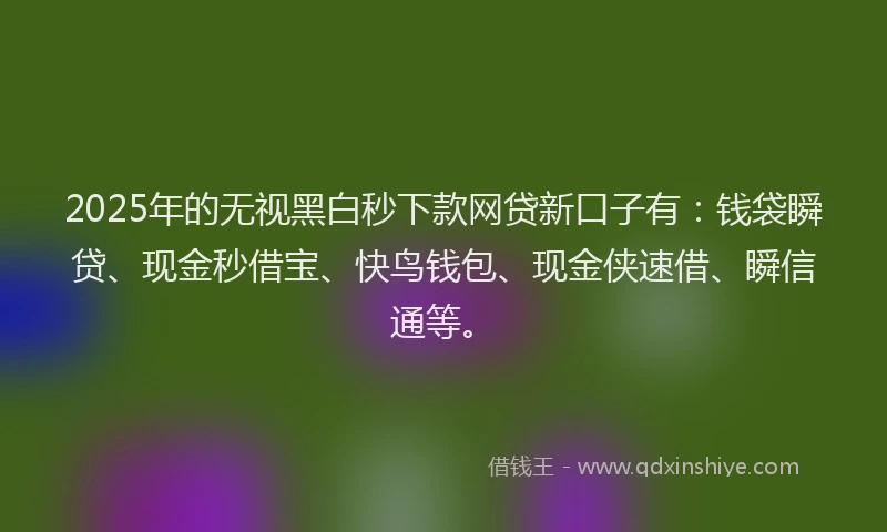 2025年的无视黑白秒下款网贷新口子有：钱袋瞬贷、现金秒借宝、快鸟钱包、现金侠速借、瞬信通等。