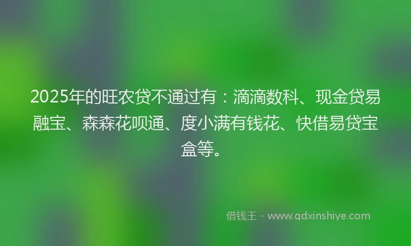 2025年的旺农贷不通过有：滴滴数科、现金贷易融宝、森森花呗通、度小满有钱花、快借易贷宝盒等。