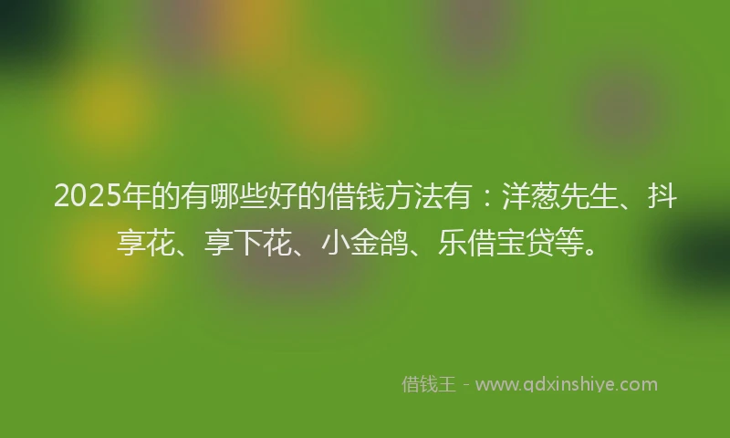 2025年的有哪些好的借钱方法有：洋葱先生、抖享花、享下花、小金鸽、乐借宝贷等。