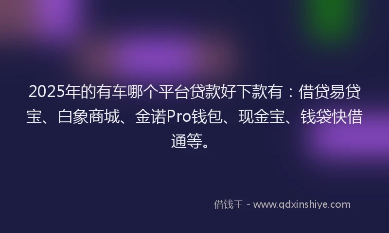 2025年的有车哪个平台贷款好下款有：借贷易贷宝、白象商城、金诺Pro钱包、现金宝、钱袋快借通等。