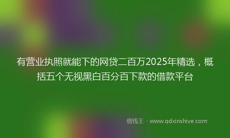 有营业执照就能下的网贷二百万2025年精选，概括五个无视黑白百分百下款的借款平台