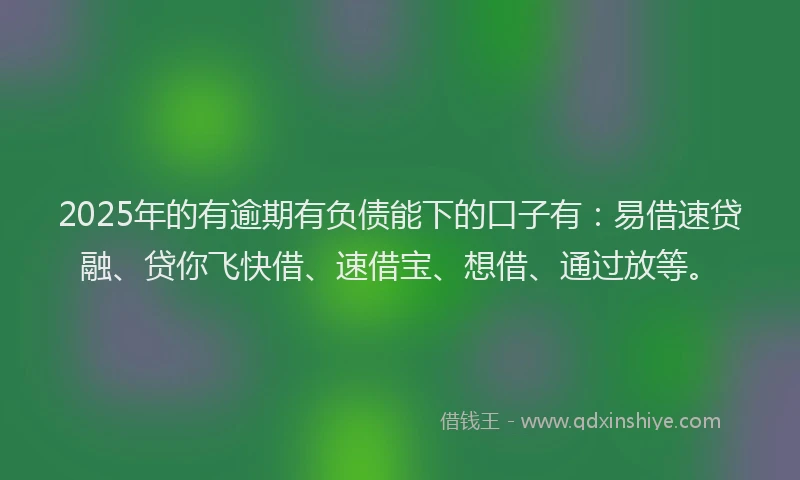2025年的有逾期有负债能下的口子有：易借速贷融、贷你飞快借、速借宝、想借、通过放等。