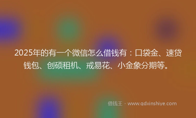 2025年的有一个微信怎么借钱有：口袋金、速贷钱包、创硕租机、戒易花、小金象分期等。