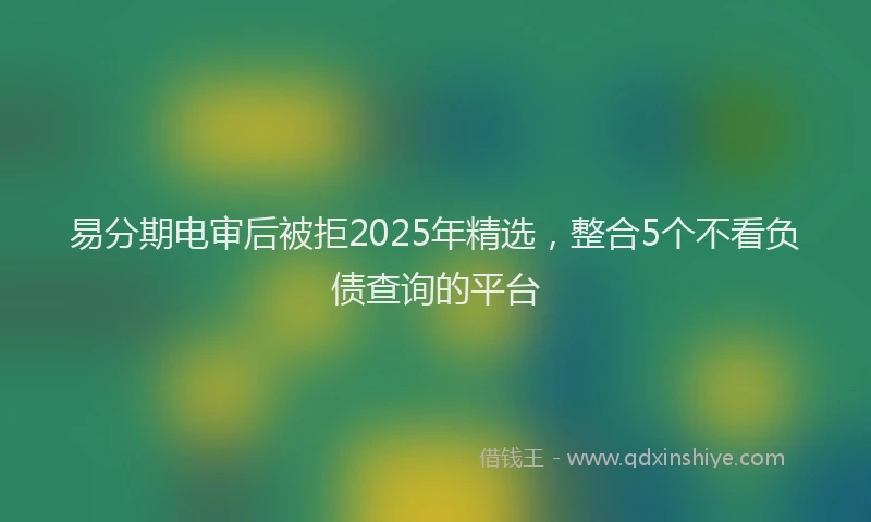 易分期电审后被拒2025年精选，整合5个不看负债查询的平台