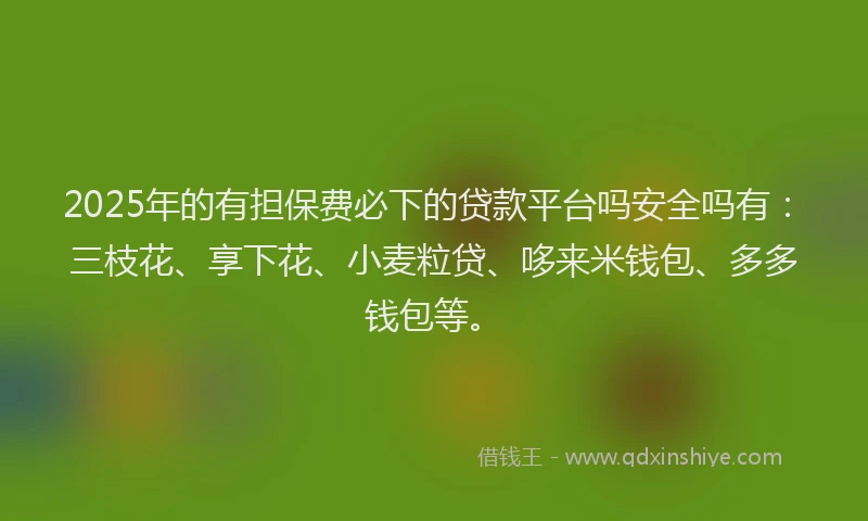 2025年的有担保费必下的贷款平台吗安全吗有：三枝花、享下花、小麦粒贷、哆来米钱包、多多钱包等。