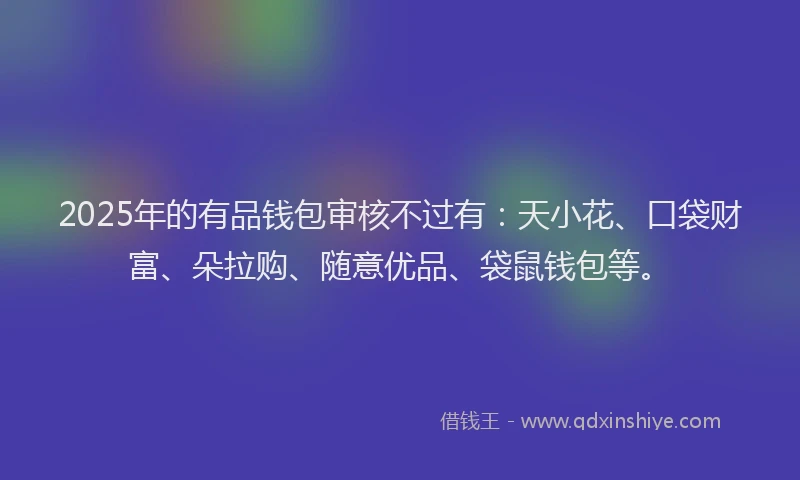 2025年的有品钱包审核不过有：天小花、口袋财富、朵拉购、随意优品、袋鼠钱包等。