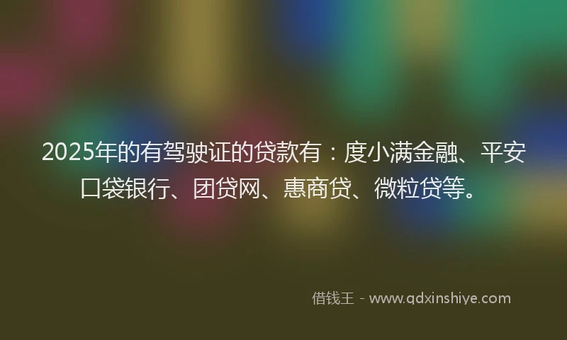 2025年的有驾驶证的贷款有：度小满金融、平安口袋银行、团贷网、惠商贷、微粒贷等。