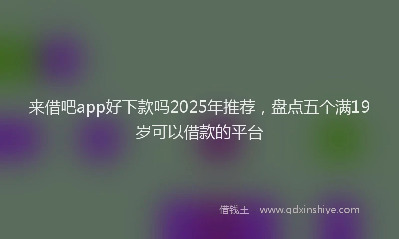 来借吧app好下款吗2025年推荐，盘点五个满19岁可以借款的平台