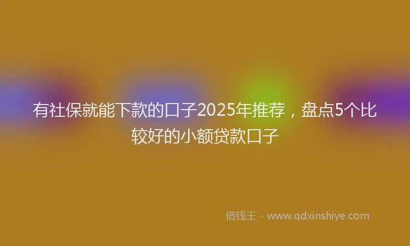 有社保就能下款的口子2025年推荐，盘点5个比较好的小额贷款口子