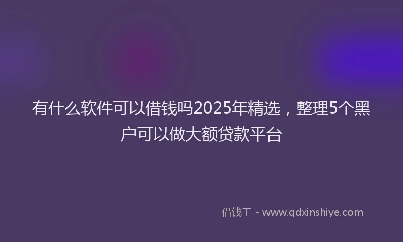 有什么软件可以借钱吗2025年精选，整理5个黑户可以做大额贷款平台
