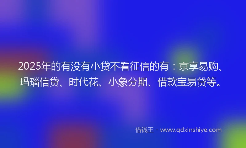 2025年的有没有小贷不看征信的有：京享易购、玛瑙信贷、时代花、小象分期、借款宝易贷等。