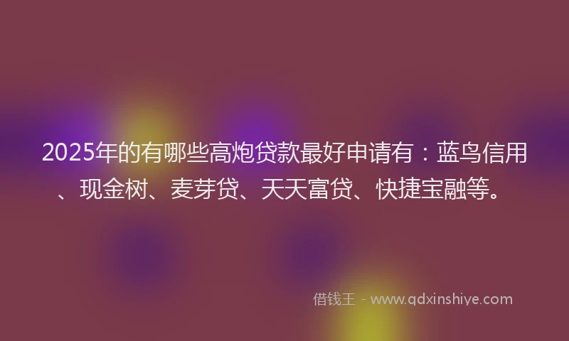 2025年的有哪些高炮贷款最好申请有：蓝鸟信用、现金树、麦芽贷、天天富贷、快捷宝融等。