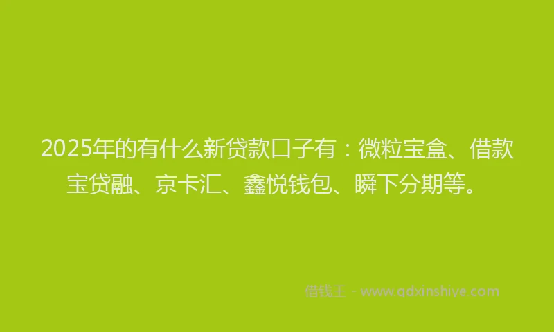 2025年的有什么新贷款口子有：微粒宝盒、借款宝贷融、京卡汇、鑫悦钱包、瞬下分期等。