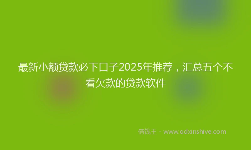 最新小额贷款必下口子2025年推荐，汇总五个不看欠款的贷款软件