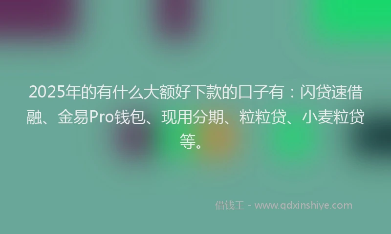 2025年的有什么大额好下款的口子有：闪贷速借融、金易Pro钱包、现用分期、粒粒贷、小麦粒贷等。